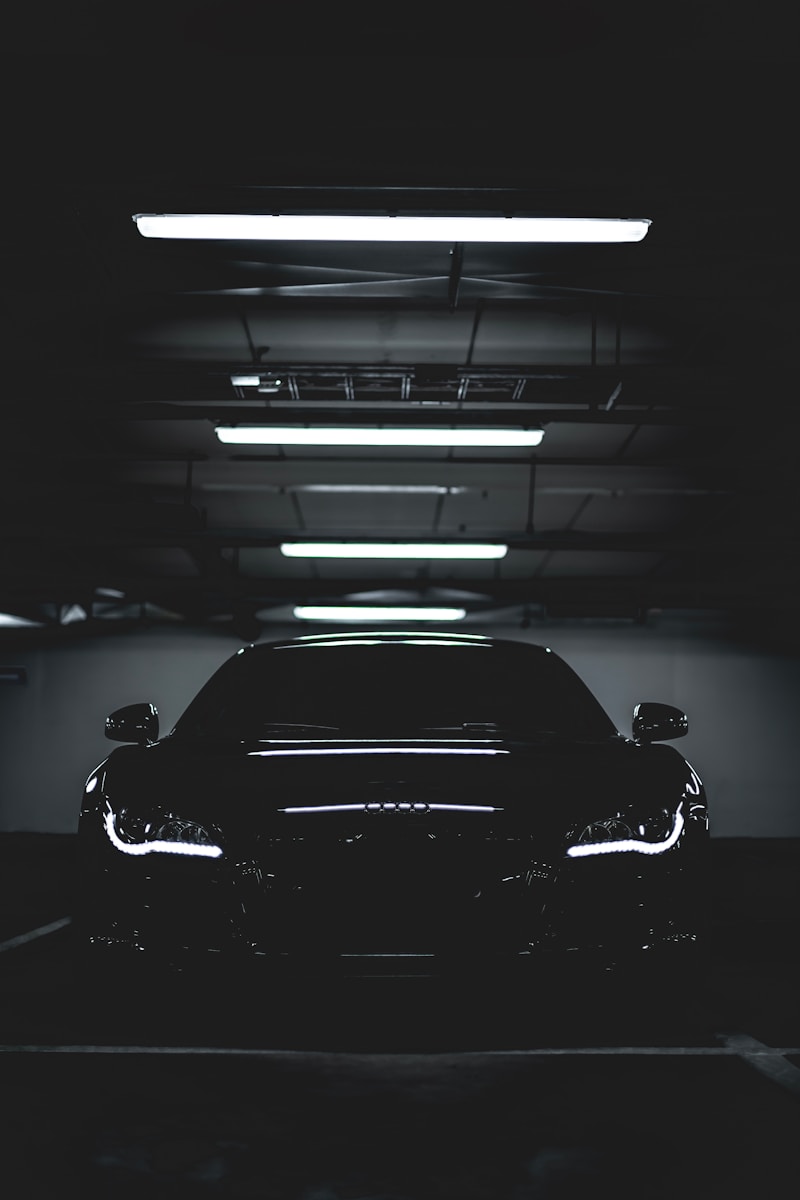labo_detailing parked black car
